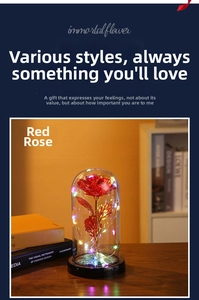 Detail of red rose in glass dome with LED fairy lights on a wooden base decor