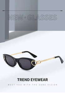 Détails de lunettes de soleil haut de gamme avec monture noire et charnière dorée