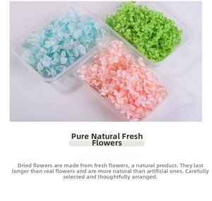Close-up of preserved hydrangea petals in blue, green, and pink colors for DIY crafts