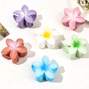 Detailed view of six-piece set featuring gradient flower hair claws with matte finish
