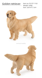 Detailed front and back view of a large golden retriever dog model with dimensions