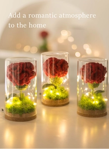 Detail of handmade crochet red rose in glass dome with warm LED fairy lights and cork base
