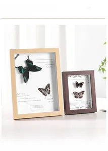 Detailed view of wood shadow box frames with butterfly specimens and vintage text