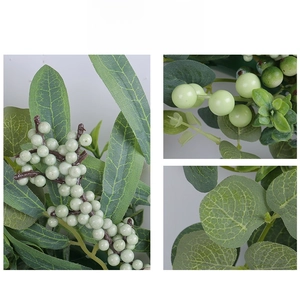 Macro shot showing detailed eucalyptus leaf veins and green berry cluster textures