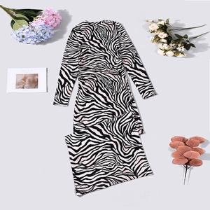 Detailed flat lay of long sleeve zebra print dress with pink accents and round neckline