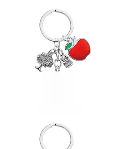 Detail of apple and owl pendants with engraved quote on a silver metal keychain