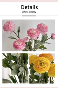 Detail view of pink and orange faux Persian Buttercup flowers with layered petals