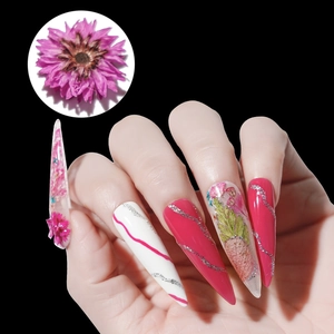 Macro shot of stiletto nails featuring embedded pink dried flowers and wavy line patterns