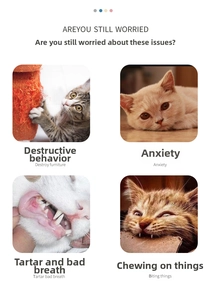 Detail showing cat behavior issues like scratching furniture and biting objects for pet toys