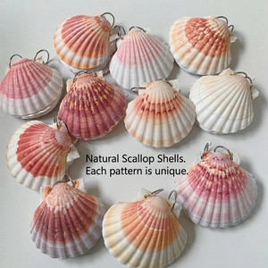 Macro shot of natural scallop shell pendants with gold loops and vibrant gradient textures