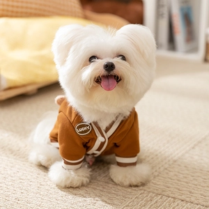 Close-up of brown dog cardigan with white trim and Lucky patch in a cozy home setting