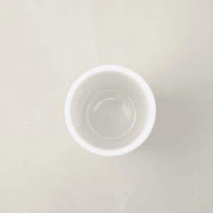 Minimalist double-layered white plastic Christmas straw cup from a professional top view