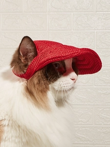 Dettaglio del cappellino rosso in mesh per animali con texture traspirante e orecchie