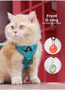 Macro detail of the front D-ring on a breathable teal cat harness for light or ID tag attachment