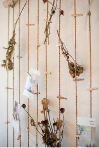 Detail of birch wood wall hanging with hemp ropes and clips for photos and flowers