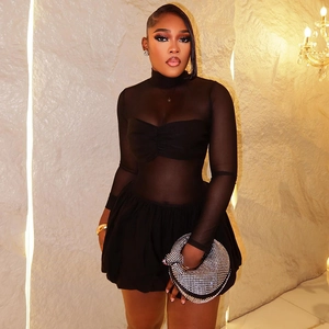 Chic black sheer mesh long sleeve mini dress with a pleated bodice and A-line skirt