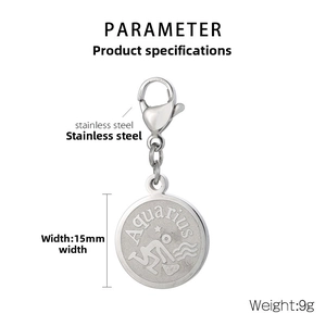 Macro detail of a 15mm stainless steel Aquarius zodiac charm with lobster clasp
