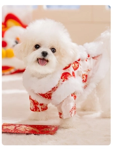 Detail of Chinese Tang suit for pets with white faux fur collar and silk floral patterns