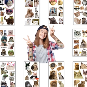 Detailed view of waterproof cartoon cat temporary tattoos with funny expressions and phrases