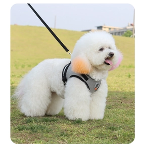 Detail of grey mesh dog harness with PET logo worn by a small dog in a park setting