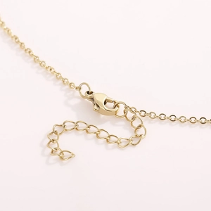 Golden stainless steel heart pendant necklace with lobster clasp and adjustable link chain