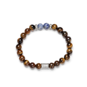 Tiger eye and lapis lazuli beaded bracelet with silver lion head and crystal accents