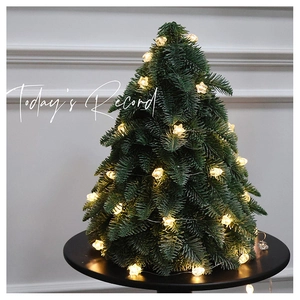 Mini tabletop Christmas tree featuring glowing star LED lights on a black desk