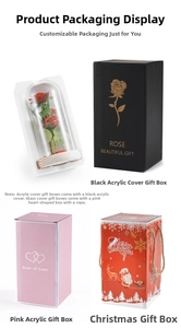 Red preserved rose with LED light inside a glass dome with three premium gift boxes