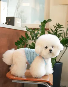 Détail du tissu en maille jacquard bleu clair sur ce débardeur d'été mignon pour chien