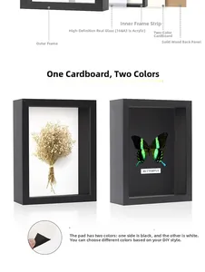 Detail of shadow box frame components showing the wood frame and reversible cardstock