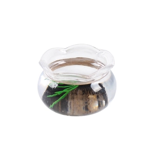 Mini pendentif aquarium en verre avec sable décoratif, plantes vertes et bordure ondulée