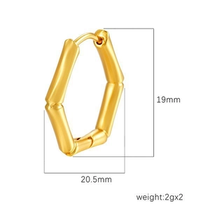 Créoles hexagonales en acier inoxydable plaqué or 18 carats pour femmes 19x20mm