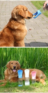 Blue portable pet water bottle dispenser for dogs being used outdoors in a park setting