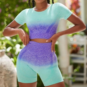 Haut Et Bas de Yoga en Tricot Sans Couture Dégradé Pour Femmes Coupe Ajustée Taille Haute Remonte-Fesses Tenue de Sport Manches Courtes