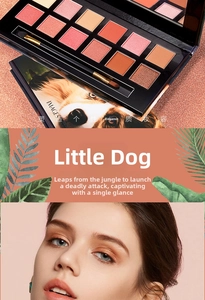 Close-up of a 12-color jungle palette with matte and shimmer shades and makeup brushes