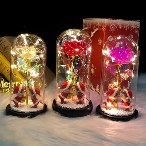 Detail of Christmas rose glass dome with LED lights and festive couple figurines