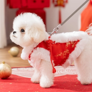 Red festive dog tang suit with gold plum patterns and soft white faux fur collar