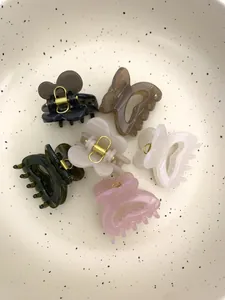 Lot de six pinces à cheveux papillon aux couleurs Morandi en résine translucide élégante