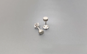 Detailed view of 316L stainless steel screw-back earrings with sparkling white zircons