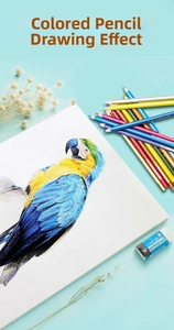 Artistic set with colored pencils, drawing eraser and a parrot sketch on paper