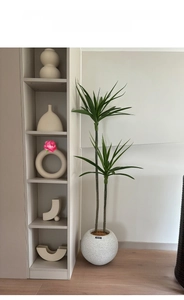 Detail view of modern matte cream ceramic vases in various geometric shapes for home decor