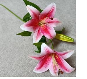 Detailed close-up of 3D realistic pink and white lily bouquet with blooming petals