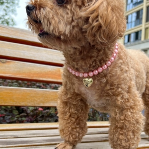 Pink pearl pet collar with gold heart pendant worn by a dog in outdoor setting