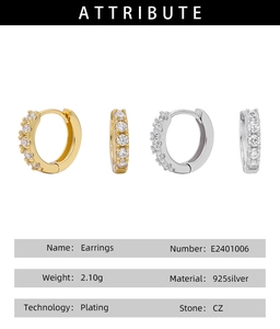 Detail view of 925 sterling silver earrings with micro-set CZ stones in gold and silver