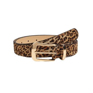 Stylish leopard print skinny belt with gold metal buckle for women on white background