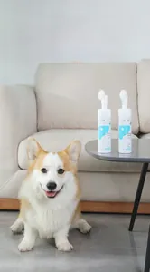 Macro shot of pet paw cleaning foam with silicone brush head near a Corgi dog