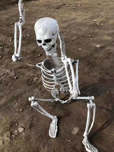 Detailed full-sized human skeleton prop in sitting pose with movable joints for Halloween