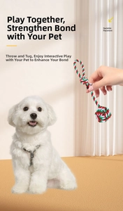 Close-up of dog playing with a red, white, and green woven cotton rope toy for chewing