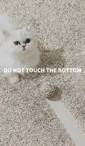 Macro shot of clumping tofu cat litter with blue deodorizing beads and a white cat