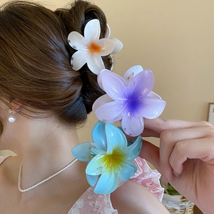 Gros plan d'une pince à cheveux fleur de lys dégradé sur la coiffure d'un mannequin
